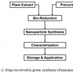 Figure 2: Steps involved in green synthesis of nanoparticles.