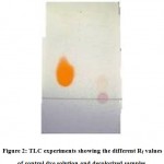 Figure 2: TLC experiments showing the different Rf values of control dye solution and decolorized samples.