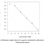 Figure 3: Molecular weight values of Ae. aegypti as calculated for calibration of SDS-PAGE protein analysis.