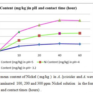 Adsorption Heavy Metal from Contaminated Water , by Modified Shell of ...