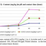 Figure 4- The mean content of Cr (VI) ( mg/kg ) in A. lycioides and A. wendelboi treatment groups in contaminated 100, 200 and 300 ppm Nickel solution in the form of Ni (NO3 )in different pHs and contact times (hours) .