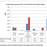 Figure 4. Comparative analysis of Vladimir Region's biocapacity and EF of households