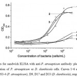 Figure 1. Curves for sandwich ELISA with anti-P. atrosepticum antibody: plots of absorbance versus concentration of P. atrosepticum or D. dianthicola cells. Curves 1‒6 accord to Pa393, Pa204-3 and Pa203-4 (P. atrosepticum); D9, D17 and D33 (D. dianthicola), respectively.