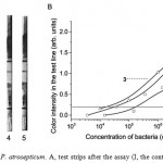 Figure 2. LFIA of P. atrosepticum. A, test strips after the assay (I, the control zone; II, the test zone); 1–5, the concentrations of P. atrosepticum (Pa393) in PBST are 3.6 × 103, 3.6 × 104, 3.6 × 105, 3.6 × 106 and 3.6 × 107 cell/mL. B, the color intensity in the test line (arb. units) versus the concentration of P. atrosepticum; curves 1‒3 accord to Pa18077, Pa393 and Pa204-3, respectively.