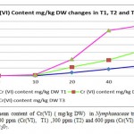 Figure 4- The mean content of Cr(VI) ( mg/kg DW) in Nymphaeaceae treatment groups in contaminated 100 ppm (Cr(VI), T1) ,300 ppm (T2) and 600 ppm (Cr(VI), T3) chromium in the form of K2Cr207.