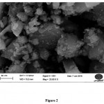 Fig. 2. SEM photograph of 10% CuO/nano-γ-alumina.