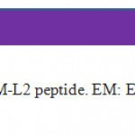 Fig 1. Schematic representation of EM-L2 peptide. EM: EGFR mimotope, L: G4s linker, L2: L2 domain of ECD-EGFR
