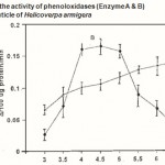 Figure 2 : Effect of pH on the activity of phenoloxidases (Enzyme A & B) in the pharate pupal cuticle of Helicoverpa armigera
