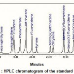 Figure 1 : HPLC chromatogram of the standard PAHs.