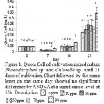 Figure 1. Quota Cell of cultivation mixed culture Phaeodactylum sp. and Chlorella sp. until 21 days of cultivation. Chart followed by the same letter on the same day showed no significant difference by ANOVA at a significance level of 5%. Description : 