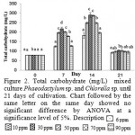 Figure 2. Total carbohydrate (mg/L) mixed culture Phaeodactylum sp. and Chlorella sp. until 21 days of cultivation. Chart followed by the same letter on the same day showed no significant difference by ANOVA at a significance level of 5%. Description : 