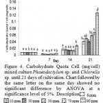 Figure 4: Carbohydrate Quota Cell (mg/cell) mixed culture Phaeodactylum sp. and Chlorella sp. until 21 days of cultivation. Chart followed by the same letter on the same day showed no significant difference by ANOVA at a significance level of 5%. Description