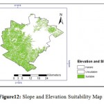Figure12: Slope and Elevation Suitability Map