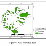 Figure8: Final constraint map