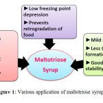 Figure 1: Various application of maltotriose syrup