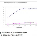 Figure 3: Effect of incubation time on L-asparaginase activity.