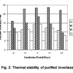 Figure 2: Thermal stability of purified invertase.