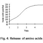 Figure 4: Release of amino acids.