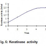 Figure 6: Keratinase activity.