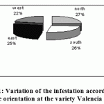 Figure 1: Variation of the infestation according to the orientation at the variety Valencia late.