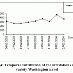 Figure 4: Temporal distribution of the infestations at the variety Washington navel.