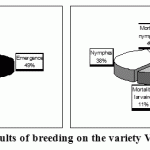 Figure 5: Results of breeding on the variety Valencia late.