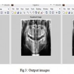 Fig 3: Output images