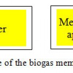 Figure 6 – A principal scheme of the biogas membranous cleaning