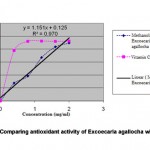 Figure 3: Comparing antioxidant activity of Excoecaria agallocha with Vitamin