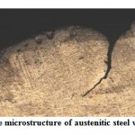 Figure 2: The microstructure of austenitic steel with a crack