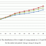 Figure 1. The distribution of live weight of young animals in I, II and III groups for the entire test period. (Group I, Group II, Group III)