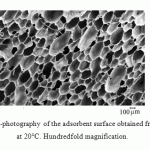 Figure 2: Electronic micro-photography of the adsorbent surface obtained from the PUF synthesized at 20°C. Hundredfold magnification.
