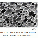 Figure 3: Electronic micro-photography of the adsorbent surface obtained from the PUF synthesized at 40°C. Hundredfold magnification
