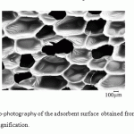Figure 4: Electronic micro-photography of the adsorbent surface obtained from the PUF synthesized at 70°C. Hundredfold magnification