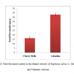 Figure 2. Total flavonoid content in the ethanol extracts of Raphanus sativus L. Cherry Belle and Valentine cultivars