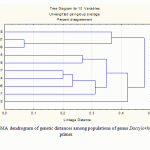 Fig. 2. UPGMA dendrogram of genetic distances among populations of genus Dactylorhiza with IS4 primer.