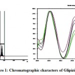 Figure 1: Chromatographic characters of Glipizide.