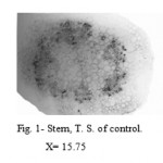Figure 1: Stem, T. S. of control.