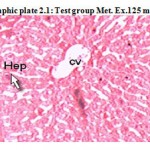Photograph 2: Histopathological Study Of Hepatoprotective Activity