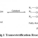 Figure 1: Transesterification Reaction.