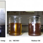 Figure 2: (a) Experimental Setup (b) MEMO Mahua Oil Glycerin.