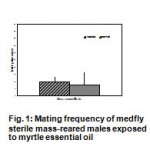 Figure 1: Mating frequency of medfly sterile mass-reared males exposed to myrtle essential oil.