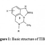 Figure 1: Basic structure of TIBO.
