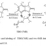 Figure 2: Structure and labeling of TIBO(7MR) and two 6MR derivatives obtaind by contaction in C15 and C18.