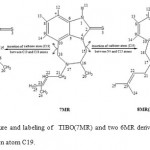 Figure 3: Structure and labeling of TIBO(7MR) and two 6MR derivatives obtaind by insertion of carbon atom C19.