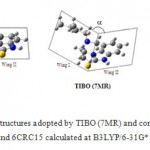 Figure 5: Butterfly-like structures adopted by TIBO (7MR) and contracted homologues MRC18 and 6CRC15 calculated at B3LYP/6-31G* level.