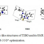 Figure 6: butterfly-like structures of TIBO and its 8MR derivatives through B3LYP/6-31G* optimization.
