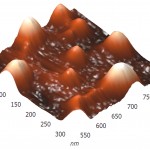 Fig.4. Three-dimensional AFM images adsorbed on pyrographite molecules of RNAse A (a) and RNAse Bi 