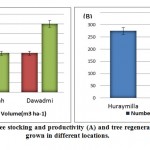 Figure 3: Mean values of tree stocking and productivity (A) and tree regeneration (B) of A. gerrardii grown in different locations.