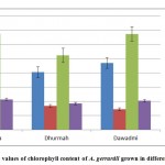 Figure 5: Mean values of chlorophyll content of A. gerrardii grown in different locations.